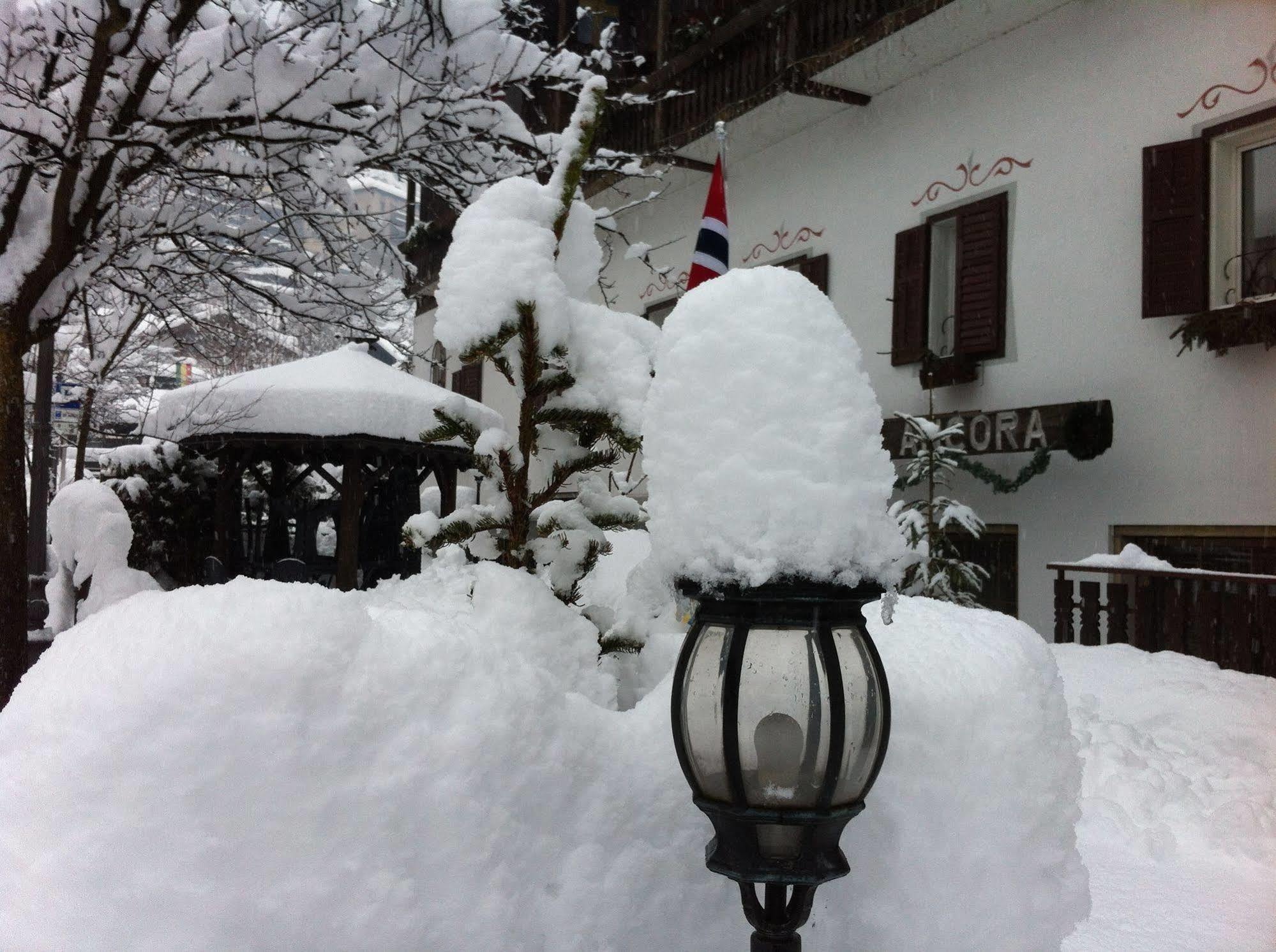 Hotel Ancora Castello-Molina di Fiemme Extérieur photo